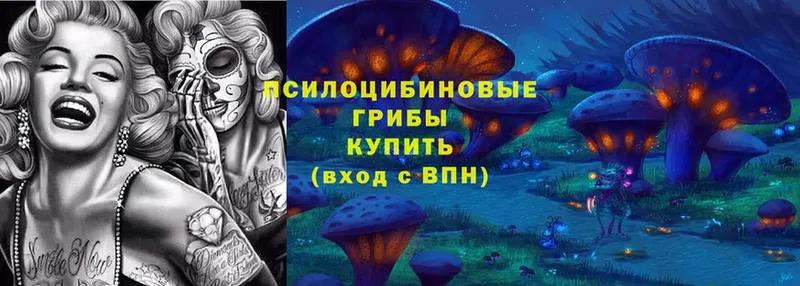 Галлюциногенные грибы MAGIC MUSHROOMS  кракен как зайти  Шадринск 